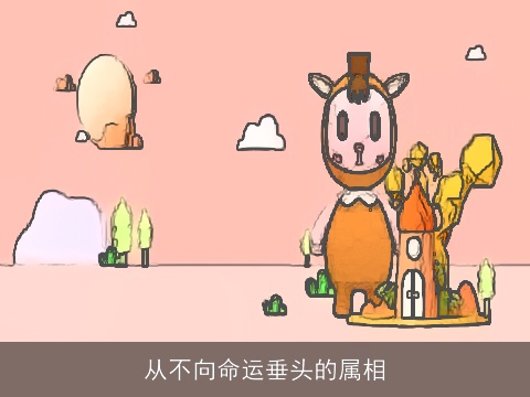 从不向命运垂头的属相