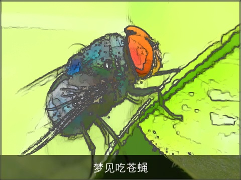 梦见吃苍蝇