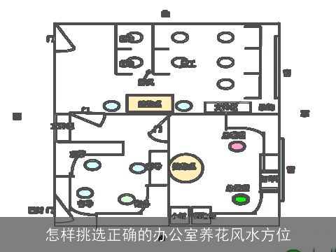 怎样挑选正确的办公室养花风水方位