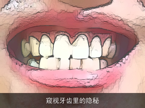 窥视牙齿里的隐秘