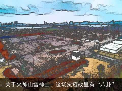 关于火神山雷神山，这场抗疫战里有“八卦”