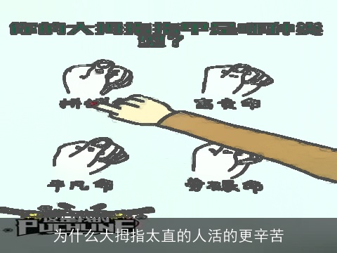 为什么大拇指太直的人活的更辛苦