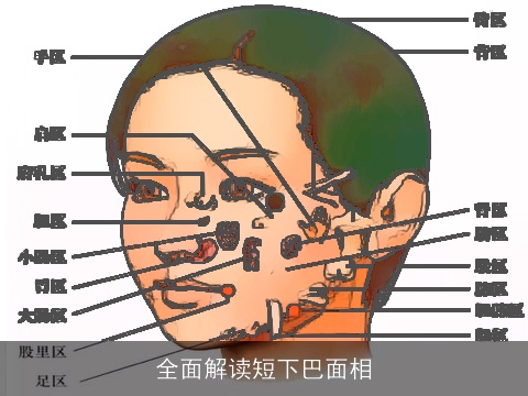 全面解读短下巴面相