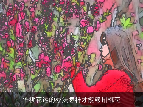 催桃花运的办法怎样才能够招桃花