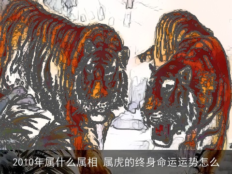 2010年属什么属相 属虎的终身命运运势怎么