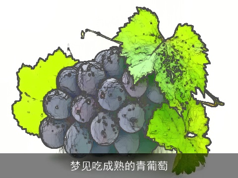 梦见吃成熟的青葡萄
