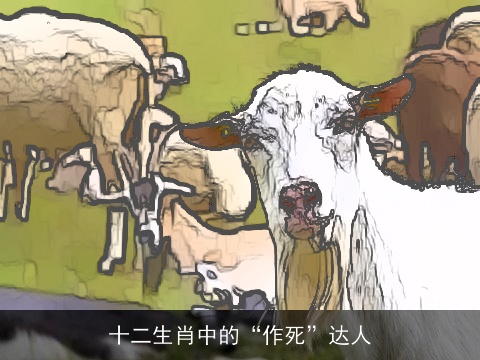 十二生肖中的“作死”达人