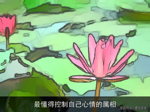 最懂得控制自己心情的属相