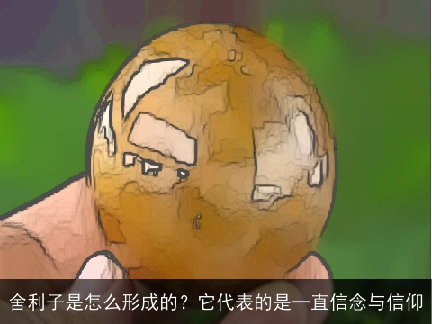 舍利子是怎么形成的？它代表的是一直信念与信仰