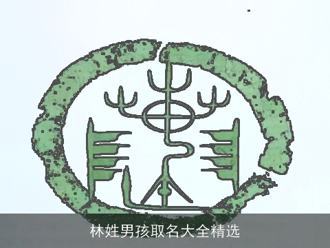 林姓男孩取名大全精选