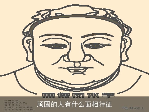 顽固的人有什么面相特征