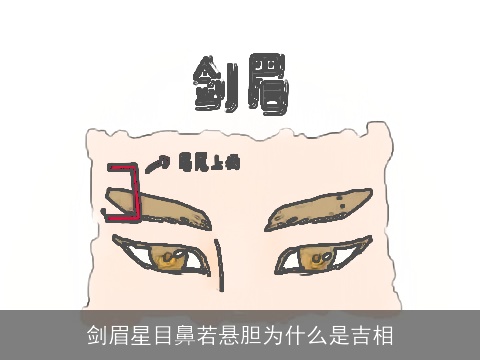 剑眉星目鼻若悬胆为什么是吉相