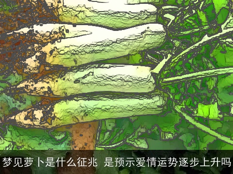 梦见萝卜是什么征兆 是预示爱情运势逐步上升吗
