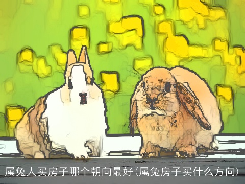 属兔人买房子哪个朝向最好(属兔房子买什么方向)