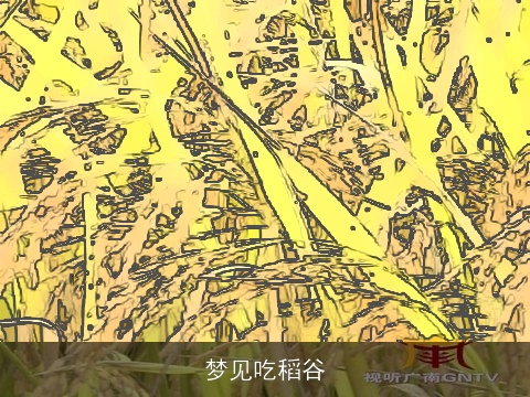 梦见吃稻谷