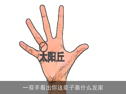 一双手看出你这辈子靠什么发家