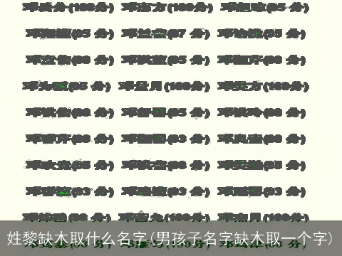 姓黎缺木取什么名字(男孩子名字缺木取一个字)