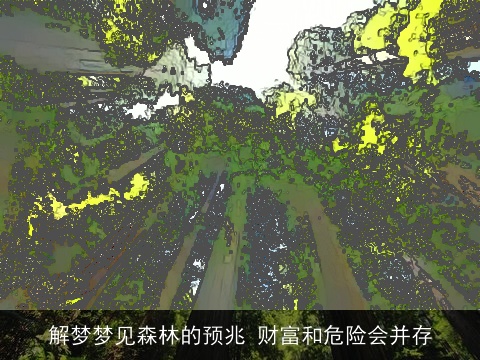 解梦梦见森林的预兆 财富和危险会并存