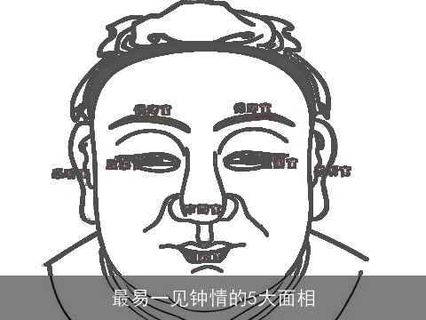 最易一见钟情的5大面相