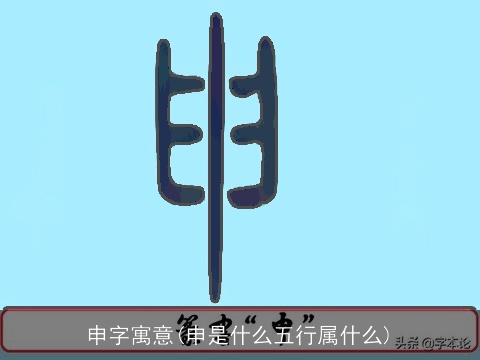 申字寓意(申是什么五行属什么)