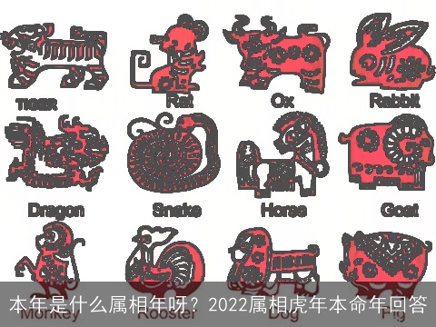 本年是什么属相年呀？2022属相虎年本命年回答