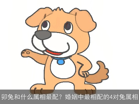 卯兔和什么属相最配？婚姻中最相配的4对兔属相