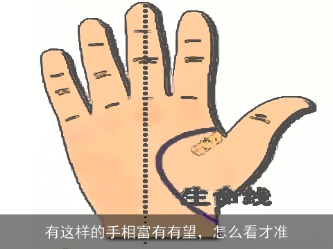 有这样的手相富有有望，怎么看才准