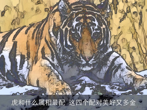 虎和什么属相最配 这四个配对美好又多金