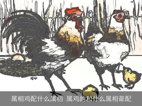 属相鸡配什么属相 属鸡的和什么属相最配