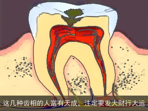 这几种齿相的人富有天成，注定要发大财行大运