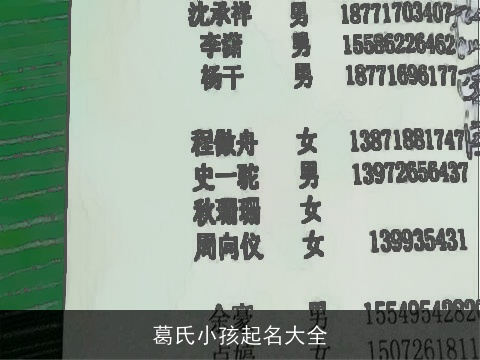 葛氏小孩起名大全