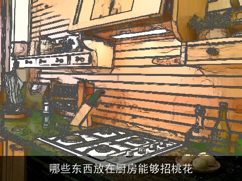 哪些东西放在厨房能够招桃花