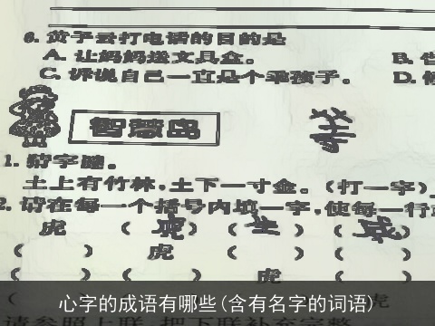 心字的成语有哪些(含有名字的词语)