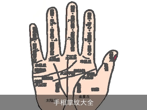 手相掌纹大全