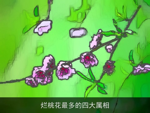 烂桃花最多的四大属相