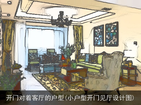 开门对着客厅的户型(小户型开门见厅设计图)