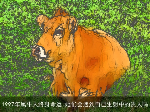 1997年属牛人终身命运 她们会遇到自己生射中的贵人吗