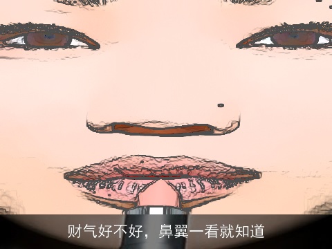 财气好不好，鼻翼一看就知道