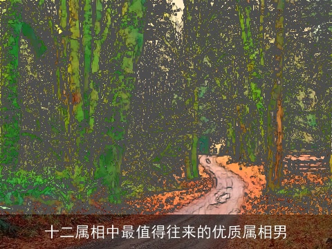 十二属相中最值得往来的优质属相男