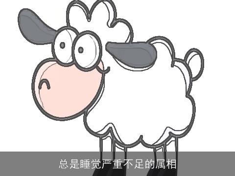 总是睡觉严重不足的属相