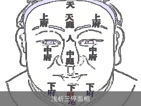 浅析三停面相