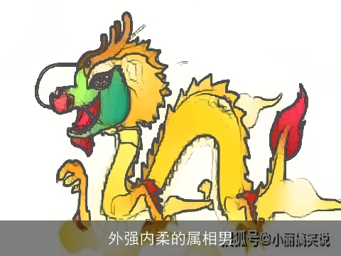 外强内柔的属相男