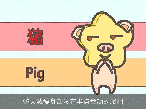 整天喊瘦身却没有半点举动的属相