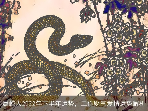 属蛇人2022年下半年运势，工作财气爱情运势解析
