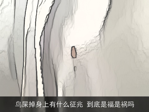 鸟屎掉身上有什么征兆 到底是福是祸吗