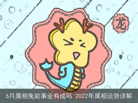6月属相兔能事业有成吗 2022年属相运势详解