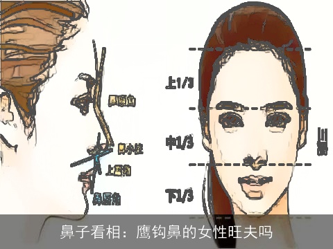 鼻子看相：鹰钩鼻的女性旺夫吗