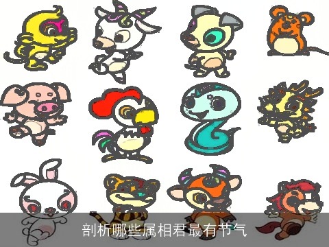 剖析哪些属相君最有节气