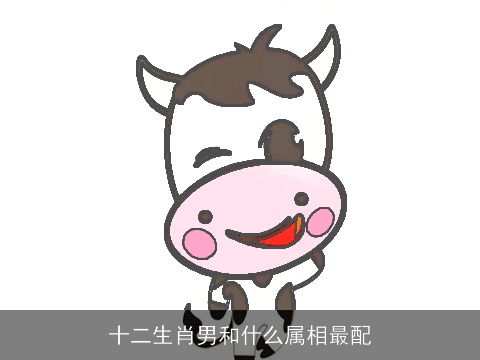 十二生肖男和什么属相最配
