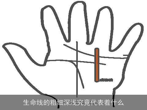生命线的粗细深浅究竟代表着什么